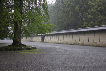 霧雨の京都御苑