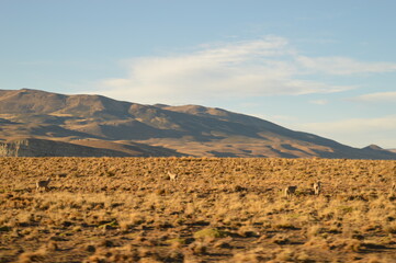 Driving the Carretera Austral in Patagonia, Chile