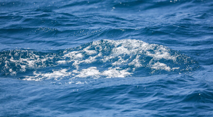 Blue surface of water in the sea as an abstract background.