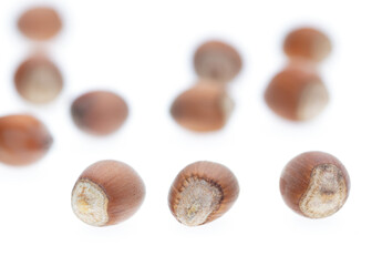 Hazelnuts isolated on a white background.