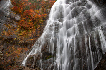 Fototapeta na wymiar 紅葉の安の滝