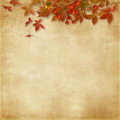 Autumn background. Autumn branch with leaves and berries on vintage background with copy space