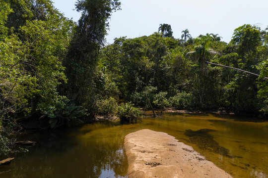 river in Serra do Mar state park, Nucleo Picinguaba, Ubatuba, Sao Paulo, Brazil