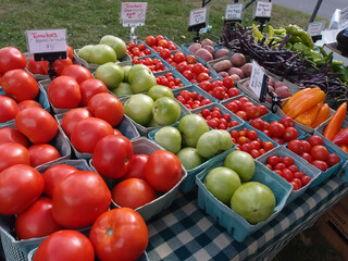 Tomatoes, potatoes, beans, and peppers displayed outdoor in Utica, NY, USA. September 14, 2015.