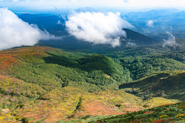 日本　栗駒山山頂から眼下の山裾の紅葉と白い雲
