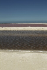 Rio Lagartos,Yucatan,Mexico. Rio Lagartos Laguna rosa di las coloradas