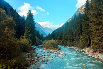 Fototapeta premium Fiume in mezzo alla natura