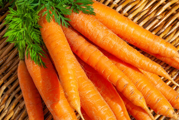 bouquet de carottes fraiches