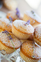 Outdoor studio photo of fresh lavender muffins on a glass plate with bright vivid background. Shallow depth of field, selective focus.