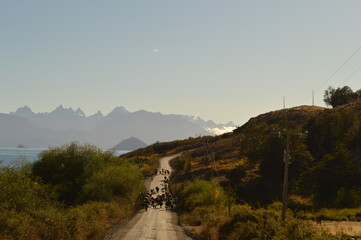 Road tripping on the scenic Carretera Austral dirtroad through mountains and glaciers in Patagonia, Chile