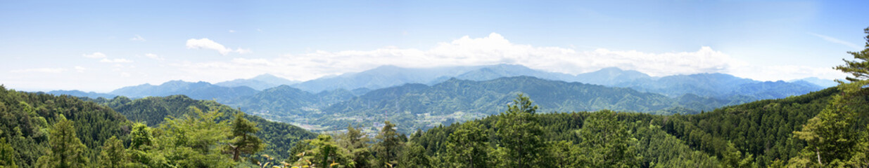 Fototapeta na wymiar 高尾山パノラマ