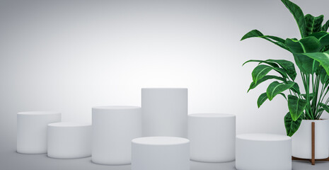 minimal white bright podiums, staggered stages, product display, houseplant, geometric cylinders, promotional graphic spotlight concept design blank © Kiera