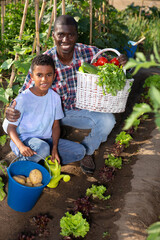 Fototapeta premium Happy family with harvest of vegetables in the garden. High quality photo