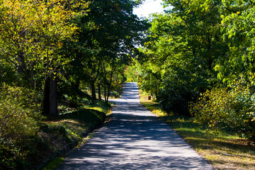 Tbilisi Botanic garden, way, trees and plants, sunlight and shadows