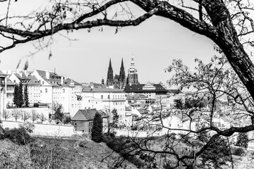 Spring in Prague. Blooming trees and lush greenery in Strahov Gardens with Prague Castle on background. Prague, Czech Republic