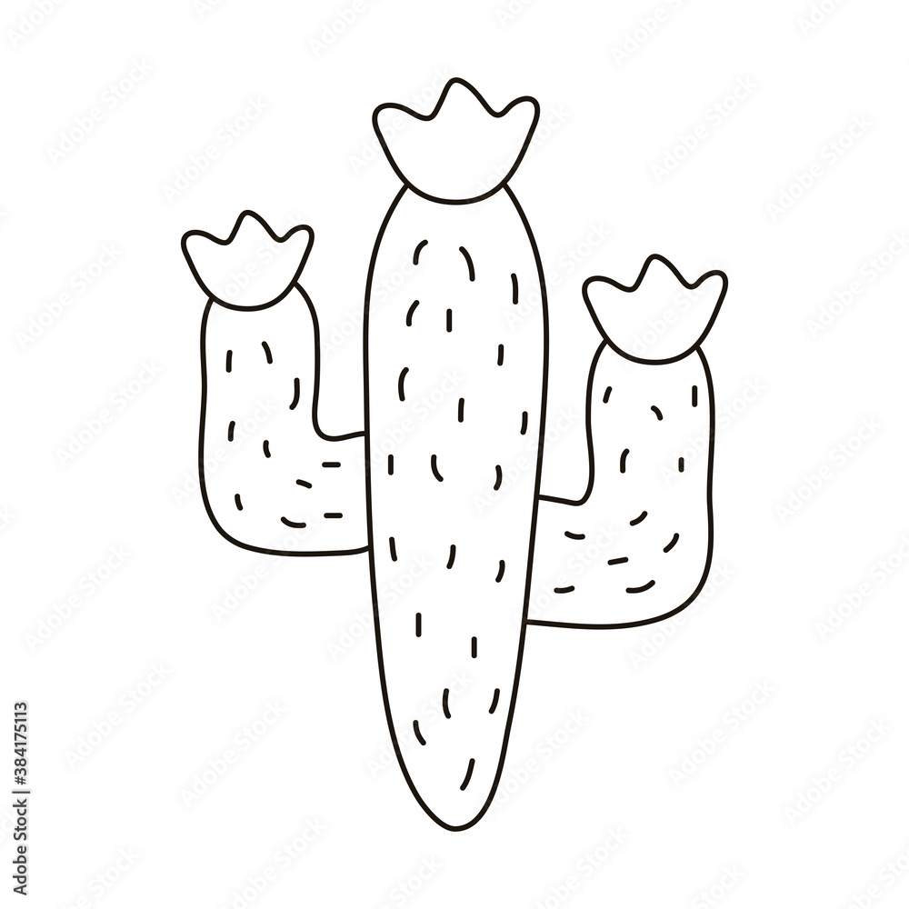 Canvas Prints cactus mexican plant line style icon