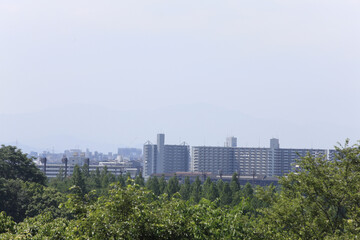 青葉と大阪