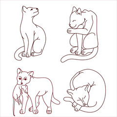 cats and kitten feline family image set vector