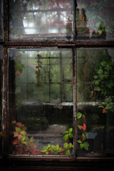 Rusty windows of the old abandoned greenhouse