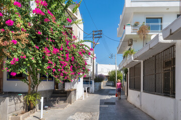 Fototapeta na wymiar Old cozy street with flowers in white houses in Bodrum, Turkey
