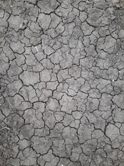 cracked earth texture
