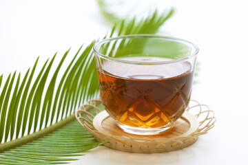 ガラス器の麦茶と蘇鉄の新芽