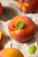 Fototapeta na wymiar Raw Orange Organic Peaches