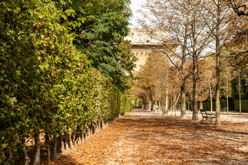Avenue in Augarten Park in Vienna (Austria) on a nice sunny autumn day