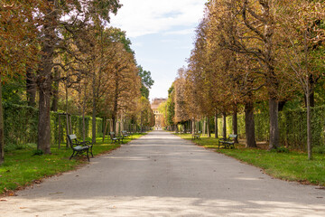 Fototapeta na wymiar Avenue in Augarten Park in Vienna (Austria) on a nice sunny autumn day