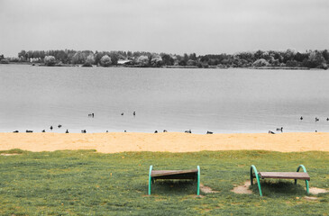 despondency autumn concept. Empty beach by the water with empty sun loungers. Only ducks