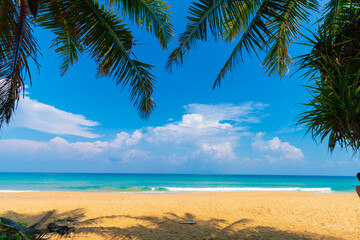 Fototapeta na wymiar Tropical paradise white sand beach with coconut palms travel tourism background