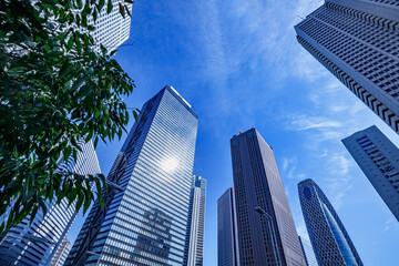 Fototapeta na wymiar 新宿の高層ビル群と青空と木