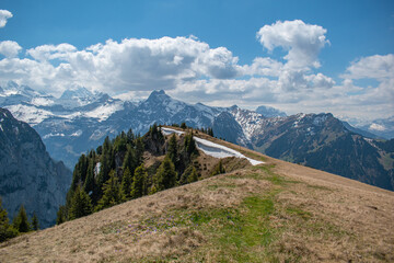 Beautiful swiss alps mountains. Alpine meadows. 