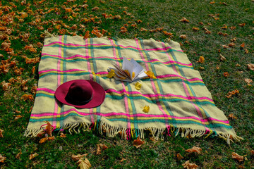 Reading, weekend in fall park. Checkered blanket with fringes, red felt hat, open book covered with...
