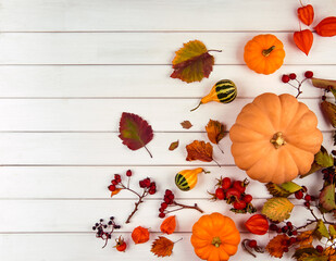 Autumn decor from pumpkins, berries and leaves on a white wooden background. Concept of Thanksgiving day or Halloween. Flat lay autumn composition with copy space.