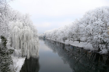 Winter Landscape in the City of Heilbronn am Neckar, Germany, Europe - obrazy, fototapety, plakaty