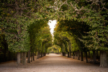 enchanted archway on an autumn day