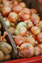 Large heap of fresh ripe organic onions on farmer market in Paris