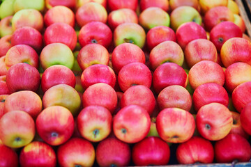 Large heap of fresh ripe organic apples on farmer market in Paris