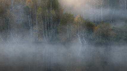 Beautiful landscape of autumn forest, lake and fog illuminated by dawn sunlight