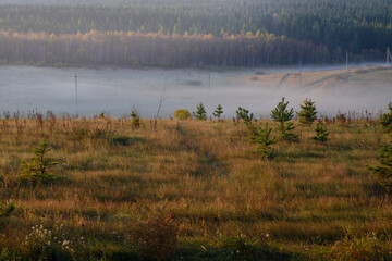 Fog rises in the autumn forest lit by the dawn sun