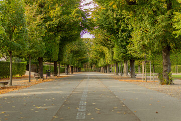 Fototapeta na wymiar Avenue in Augarten Park in Vienna (Austria) on a nice sunny autumn day