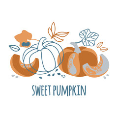 SWEET PUMPKIN Hand Drawn Flat Design Vector Illustration Set