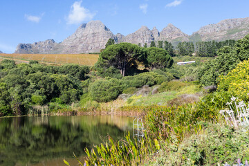 landscape of lake water surrounded by green vegetation surrounded by mountains and grapevines at a vineyard or wine estate in Stellenbosch, Cape Winelands