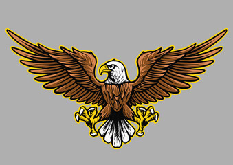 stock vector eagle object illustration