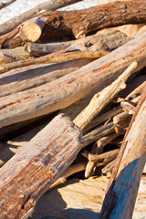 Pile of driftwood piled by the waves of the sea - driftwood background