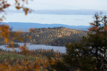 A view to a hillside forest and a lake in Northern Finland near Kuusamo, during autumn foliage. 