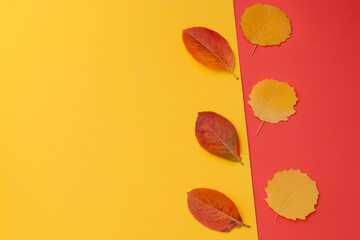 yellow leaves lie on a red background, red leaves lie on a yellow background. Top view, horizontal photo. Idea - space for text, advertising, layout, template for inscriptions, background, texture.