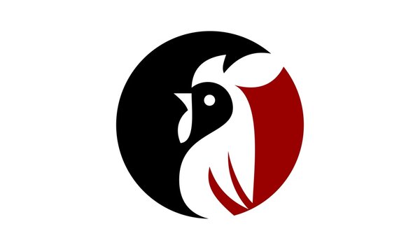 logo chicken vector 