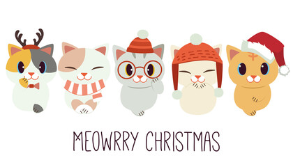 The banner of cute cat with accessory of christmas theme in flat vector style. illustation for poster ,greeting card.